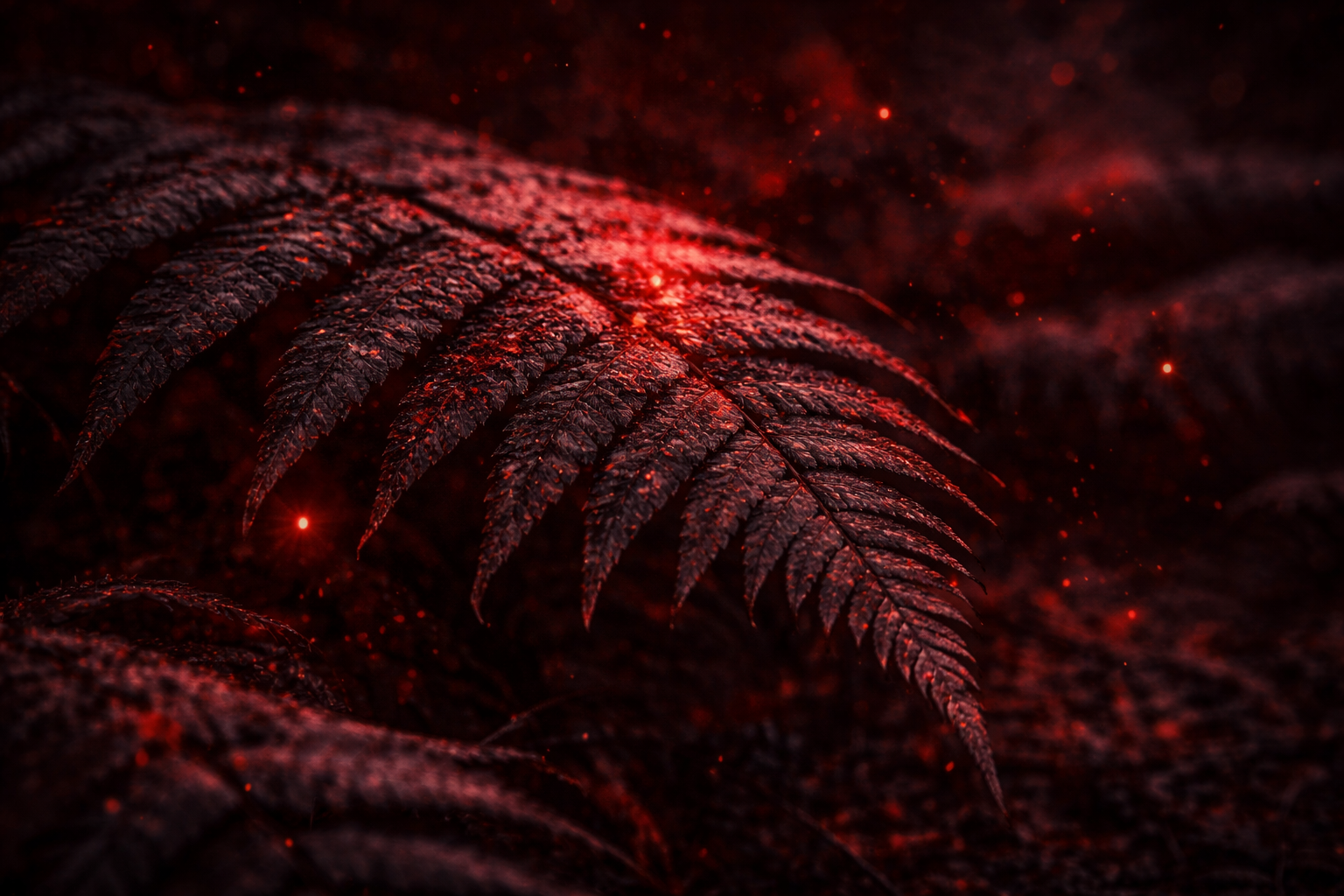 Cloud security architecture illustration